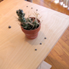 Cable Table