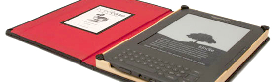 Kindle DODOcase